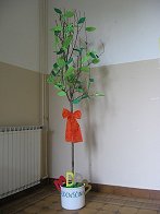 okolje4