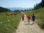 pokljuka1