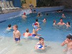 veseli december12